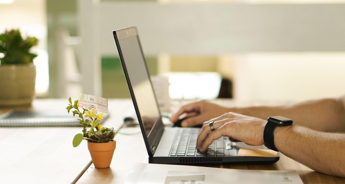 Online, connection, nature — How Exchanges Are Applying Lessons from Succulent Water Storage