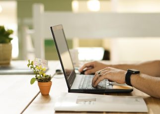 Online, connection, nature — How Exchanges Are Applying Lessons from Succulent Water Storage