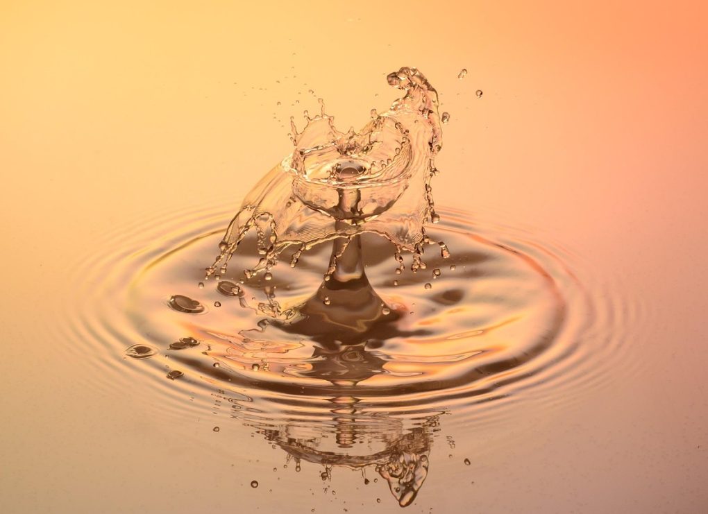 Drops, water, nature — Royal Reels Casino Login Troubleshooting Common Problems and Lockouts