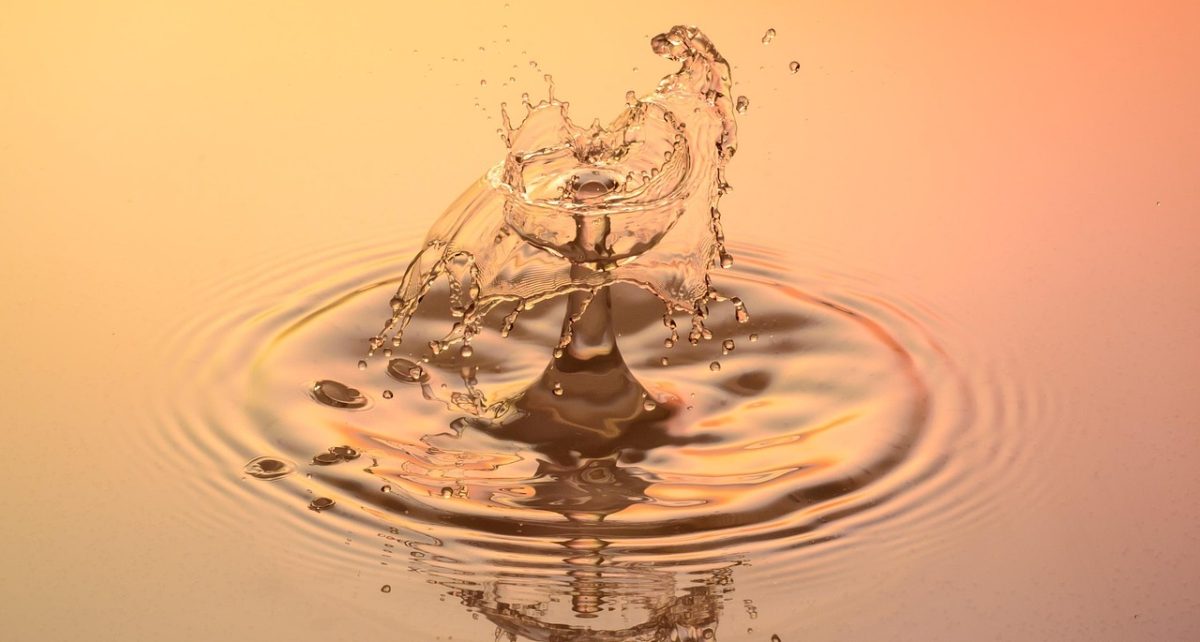Drops, water, nature — Royal Reels Casino Login Troubleshooting Common Problems and Lockouts