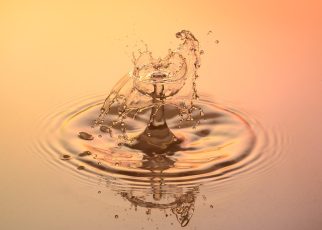 Drops, water, nature — Royal Reels Casino Login Troubleshooting Common Problems and Lockouts