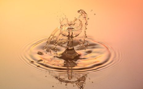 Drops, water, nature — Royal Reels Casino Login Troubleshooting Common Problems and Lockouts