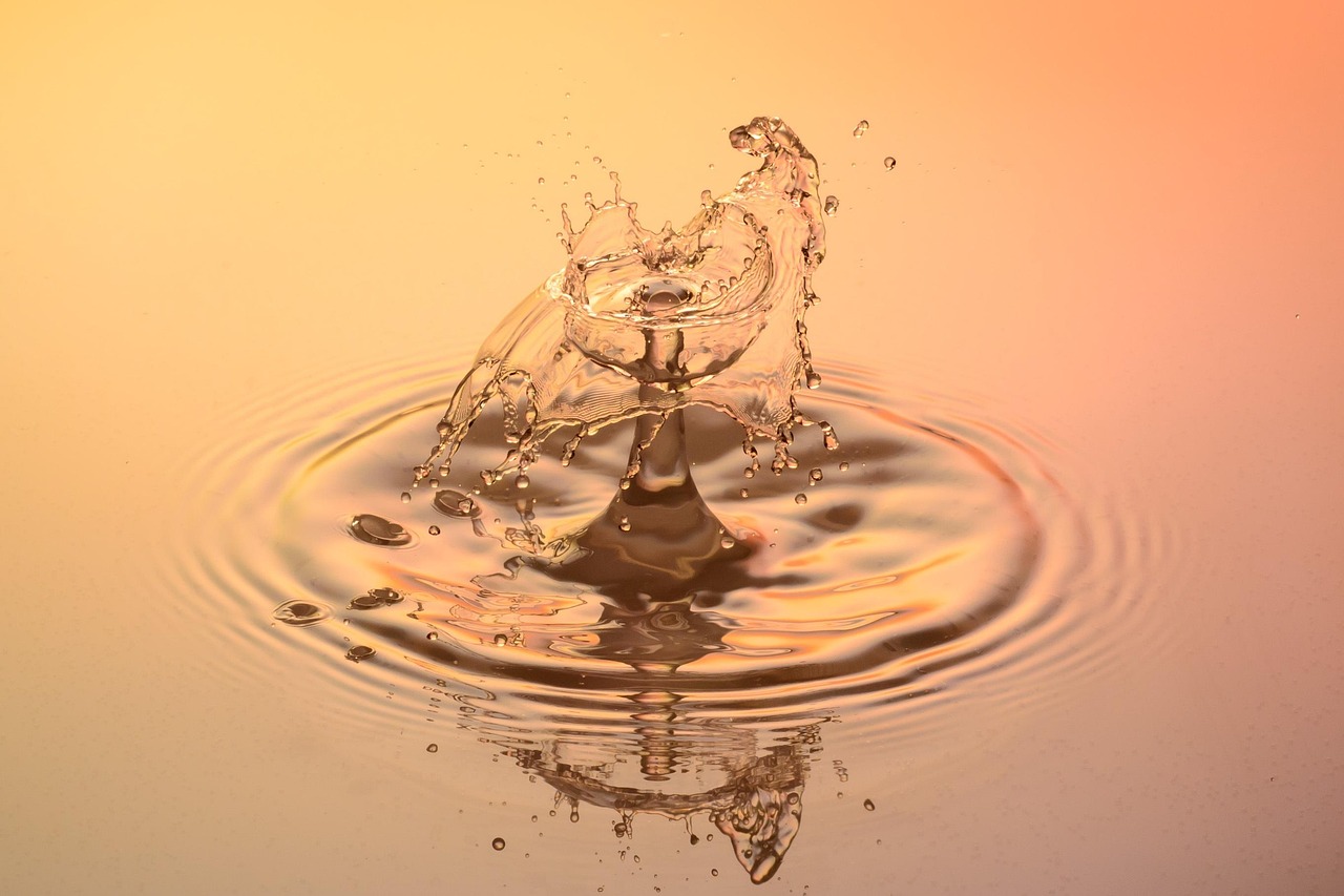 Drops, water, nature — Royal Reels Casino Login Troubleshooting Common Problems and Lockouts