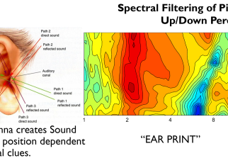 Sound Localization: Pinpointing the Origin of CV Joint Noises